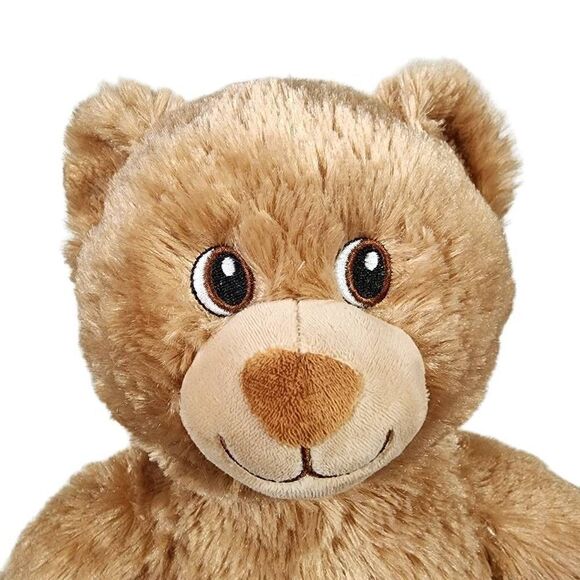 Build A Bear Workshop Girls Little Brownie Cub Brown Teddy Bear Plush Toy - Picture 1 of 8
